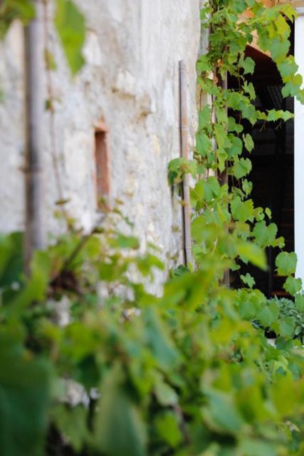 Romantic Boutique Hospitality Revine Lago Kültér fotó
